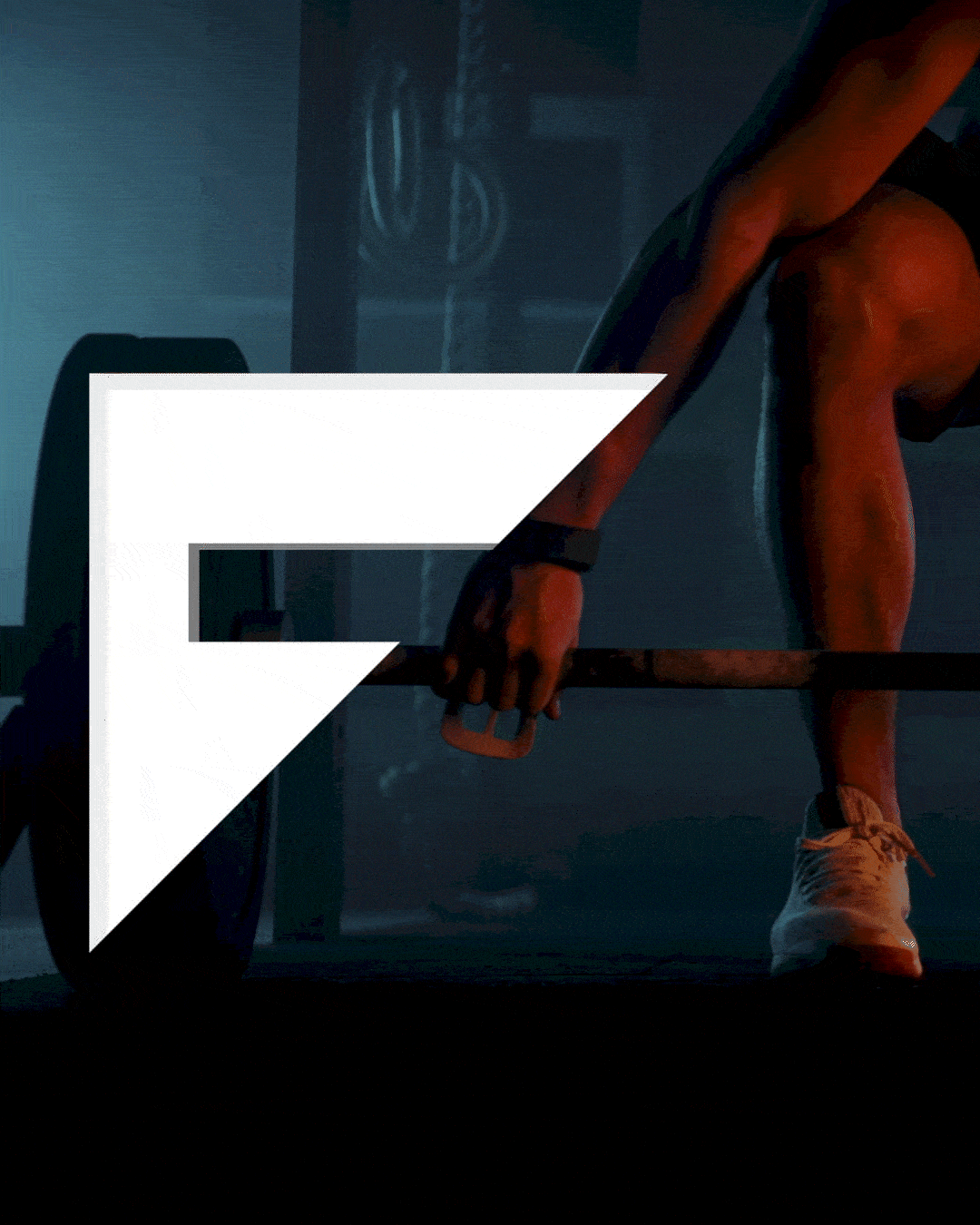 Profit Sports Hero GIF